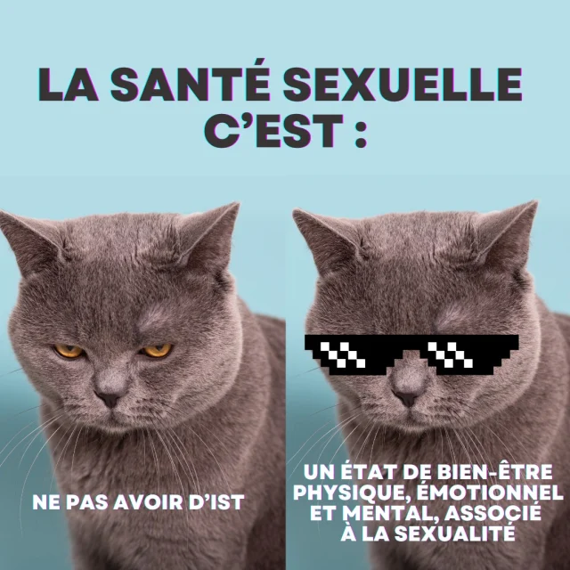 Le 4 septembre, c'est la Journée Mondiale de la santé sexuelle 💜
L'occasion de rappeler qu'une bonne santé sexuelle, c'est pas seulement le fait de ne pas avoir d'Infection Sexuellement Transmissible (IST). 
Ça va bien plus loin que ça ! 😍

👩🏾‍🏫 Selon l'OMS (Organisation Mondiale de la Santé) c'est "un état de bien-être physique, émotionnel, mental et social en matière de sexualité". 

La base pour une bonne santé sexuelle ? 
💜 PROTECTION
💜 RESPECT
💜 BIEN-ÊTRE
💜 COMMUNICATION
💜 CONSENTEMENT 
💜 DROITS HUMAINS PROTÉGÉS (zéro discrimination ou violence)

 #journeemondiale #ist #prevention #santé #amour #respect #bienetre #BienEtre